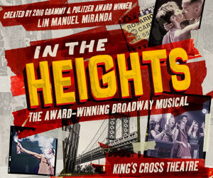 IN THE HEIGHTS